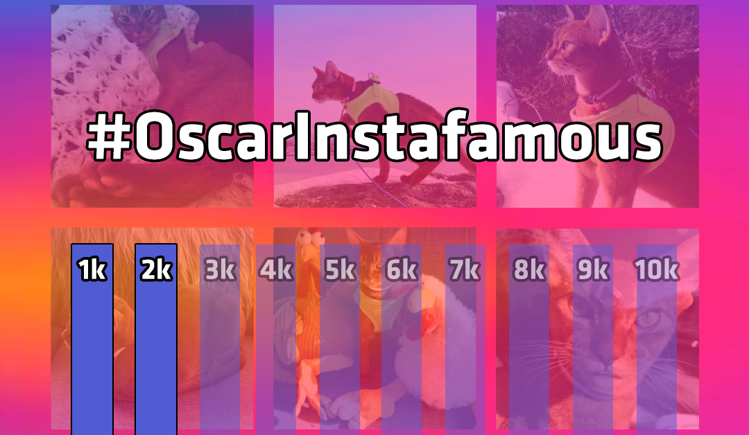 oscar-instafamous-progressjon