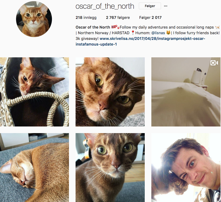 oscar-instafamous-del-2