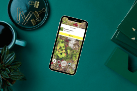 nå-kan-du-scanne-planter-på-snapchat